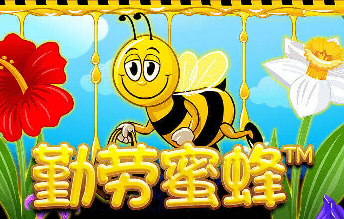 K8162:COM-WWW:K8162:COM